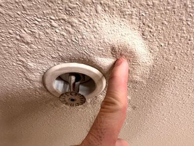 About Pembroke Pines Mold Cleanup Pros - mold cleanup experts in Pembroke Pines